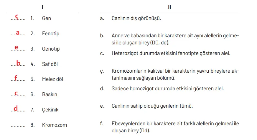 8. Sınıf Fen Bilimleri Ders Kitabı Sayfa 95 Cevapları Hecce Yayıncılık