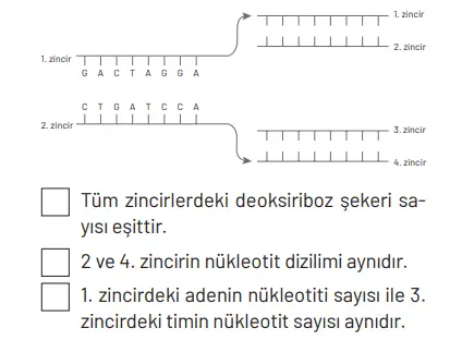 8. Sınıf Fen Bilimleri Ders Kitabı Sayfa 96 Cevapları Hecce Yayıncılık