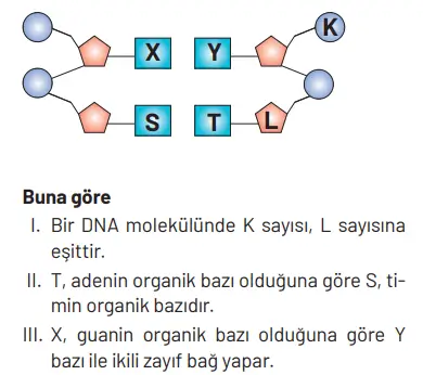 8. Sınıf Fen Bilimleri Ders Kitabı Sayfa 98 Cevapları Hecce Yayıncılık