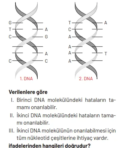 8. Sınıf Fen Bilimleri Ders Kitabı Sayfa 98 Cevapları Hecce Yayıncılık