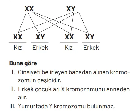 8. Sınıf Fen Bilimleri Ders Kitabı Sayfa 99 Cevapları Hecce Yayıncılık