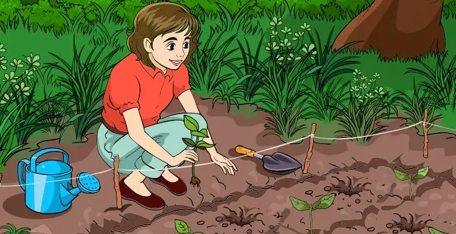 8. Sınıf Matematik Ders Kitabı 30-35-36-43-44-46-47-51. Sayfa Cevapları Sonuç Yayınları 8. Sınıf Matematik Ders Kitabı Sayfa 12 Cevapları Sonuç Yayınları