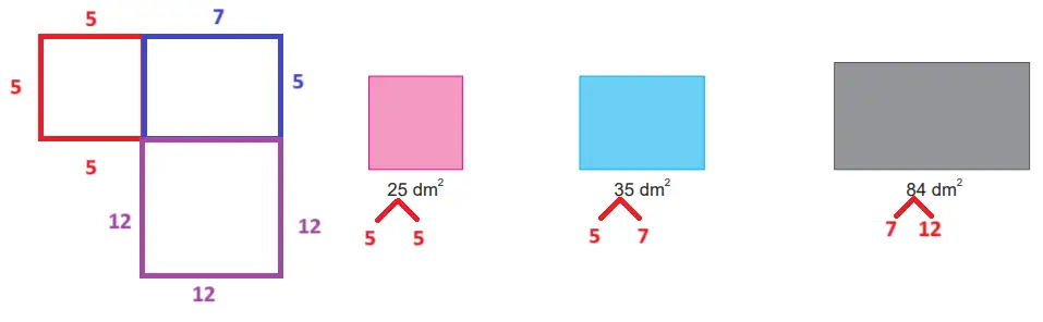 8. Sınıf Matematik Ders Kitabı Sayfa 17 Cevapları MEB Yayınları