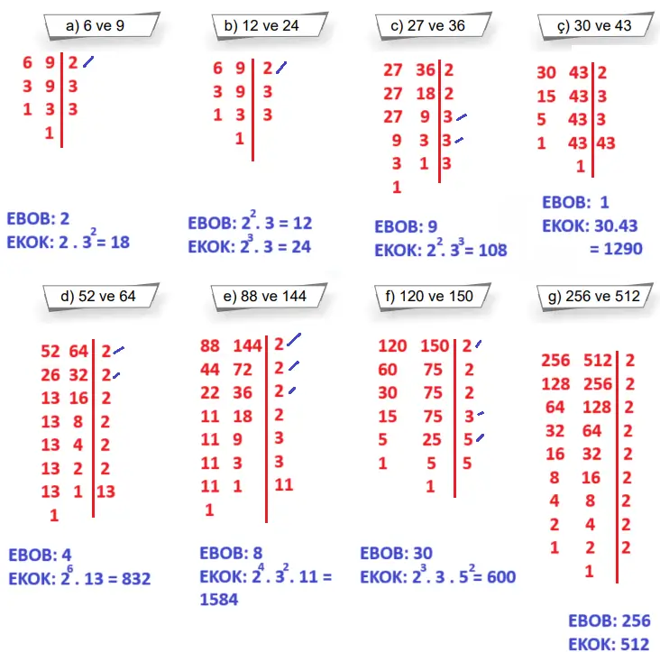 8. Sınıf Matematik Ders Kitabı Sayfa 29 Cevapları MEB Yayınları