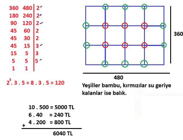 8. Sınıf Matematik Ders Kitabı Sayfa 31 Cevapları MEB Yayınları