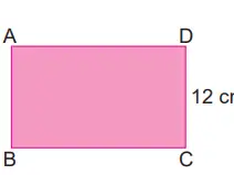 8. Sınıf Matematik Ders Kitabı Sayfa 52 Cevapları MEB Yayınları