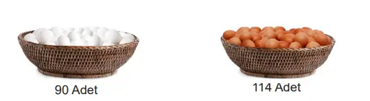 8. Sınıf Matematik Ders Kitabı Sayfa 55 Cevapları MEB Yayınları