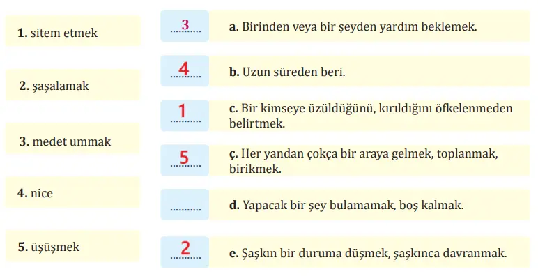 8. Sınıf Türkçe Ders Kitabı Sayfa 24 Cevapları MEB Yayınları