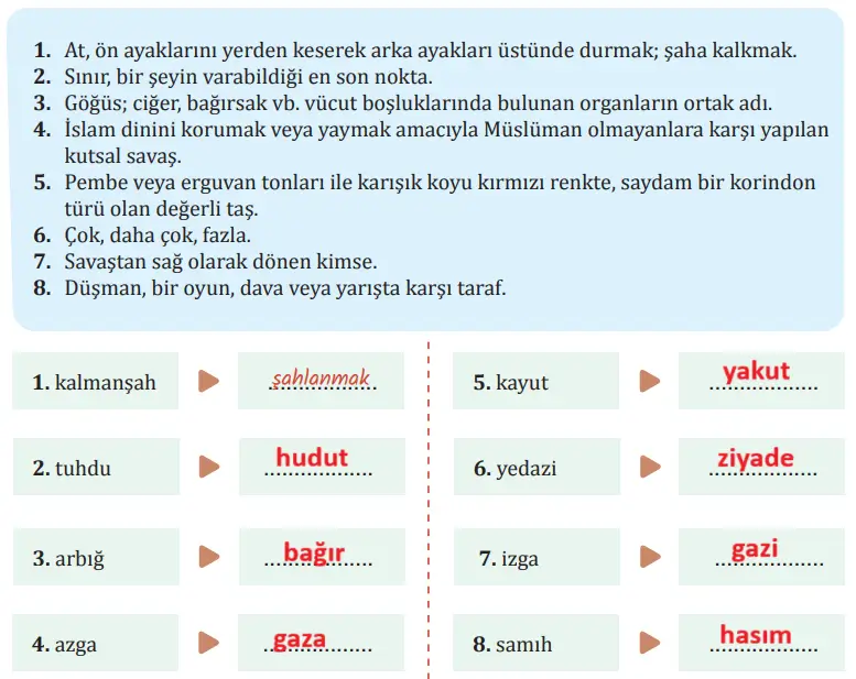 8. Sınıf Türkçe Ders Kitabı Sayfa 38 Cevapları MEB Yayınları