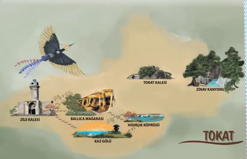 2. Sınıf Hayat Bilgisi Ders Kitabı Sayfa 14 Cevapları MEB Yayınları