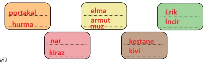 2. Sınıf Türkçe Ders Kitabı Sayfa 100 Cevapları MEB Yayınları