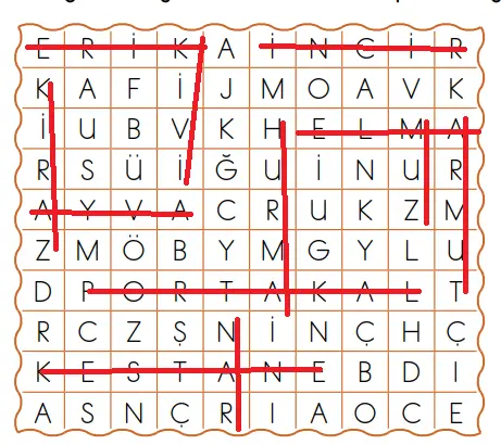 2. Sınıf Türkçe Ders Kitabı Sayfa 100 Cevapları MEB Yayınları