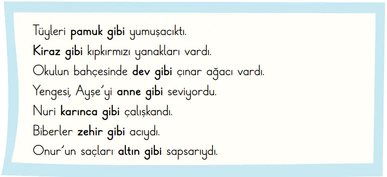 2. Sınıf Türkçe Ders Kitabı Sayfa 101 Cevapları MEB Yayınları