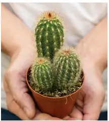 3. Sınıf Fen Bilimleri Ders Kitabı Sayfa 111 Cevapları CEM Yayıncılık