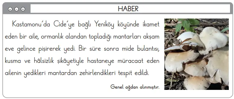 3. Sınıf Fen Bilimleri Ders Kitabı Sayfa 111 Cevapları CEM Yayıncılık