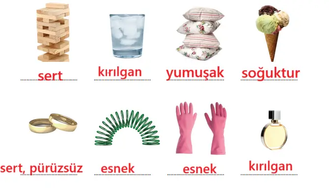 3. Sınıf Fen Bilimleri Ders Kitabı Sayfa 116 Cevapları CEM Yayıncılık