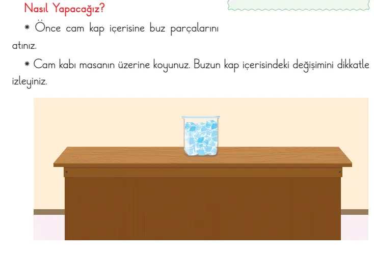 3. Sınıf Fen Bilimleri Ders Kitabı Sayfa 119-120-122-123-124 Cevapları CEM Yayıncılık 3. Sınıf Fen Bilimleri Ders Kitabı Sayfa 123 Cevapları CEM Yayıncılık