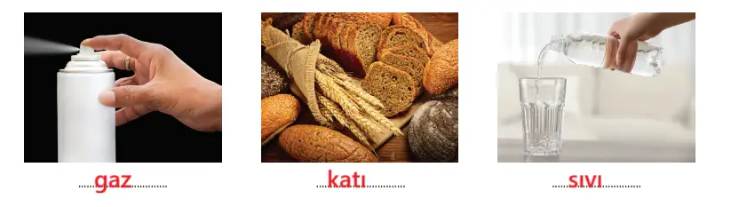 3. Sınıf Fen Bilimleri Ders Kitabı Sayfa 119-120-122-123-124 Cevapları CEM Yayıncılık 3. Sınıf Fen Bilimleri Ders Kitabı Sayfa 124 Cevapları CEM Yayıncılık