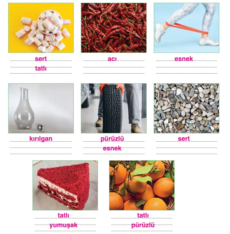 3. Sınıf Fen Bilimleri Ders Kitabı Sayfa 125 Cevapları CEM Yayıncılık