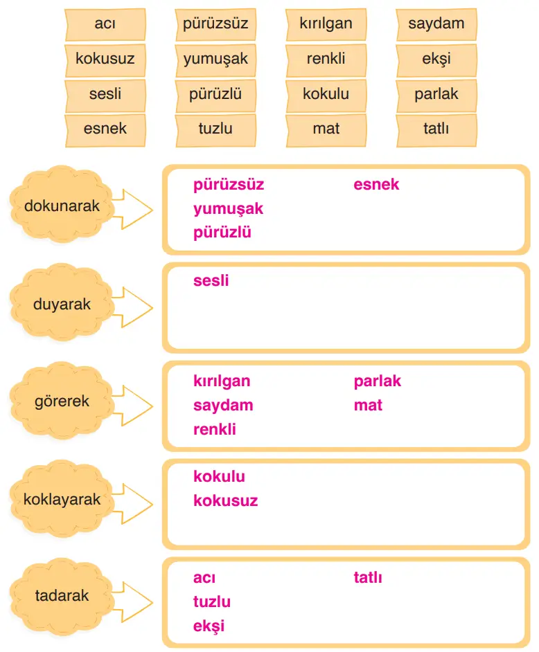 3. Sınıf Fen Bilimleri Ders Kitabı Sayfa 128 Cevapları CEM Yayıncılık