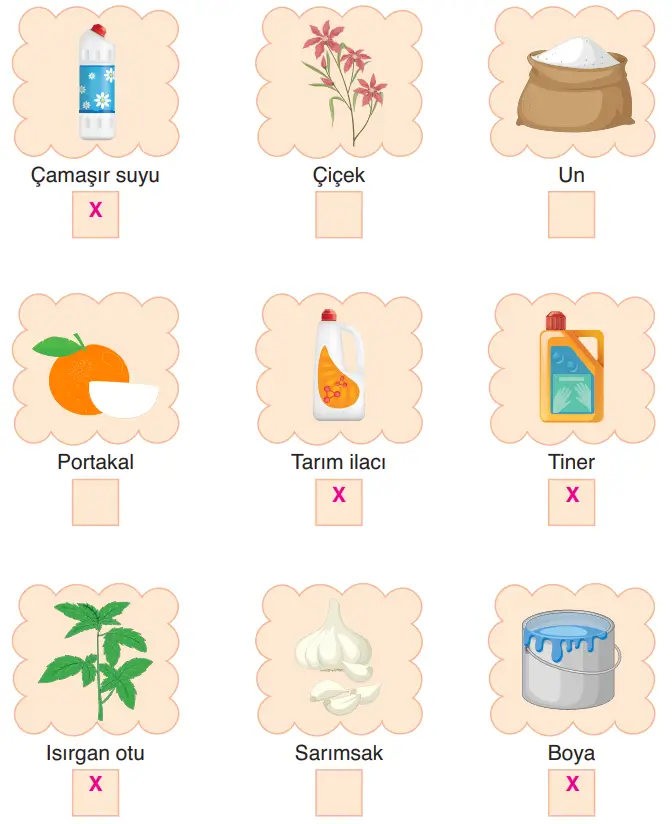 3. Sınıf Fen Bilimleri Ders Kitabı Sayfa 132 Cevapları CEM Yayıncılık