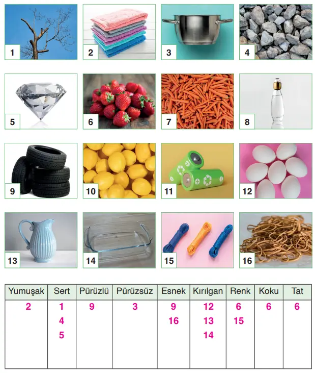 3. Sınıf Fen Bilimleri Ders Kitabı Sayfa 133 Cevapları CEM Yayıncılık