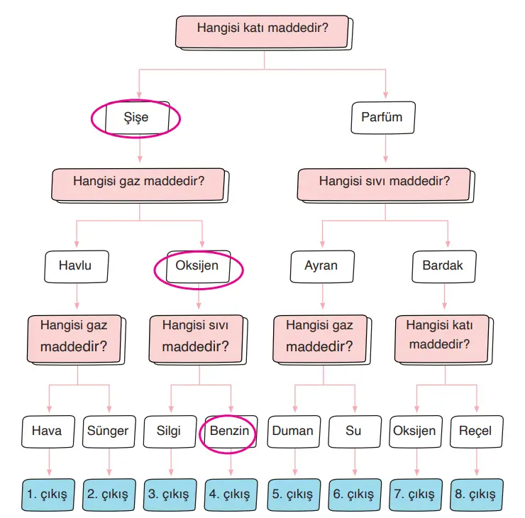 3. Sınıf Fen Bilimleri Ders Kitabı Sayfa 134 Cevapları CEM Yayıncılık