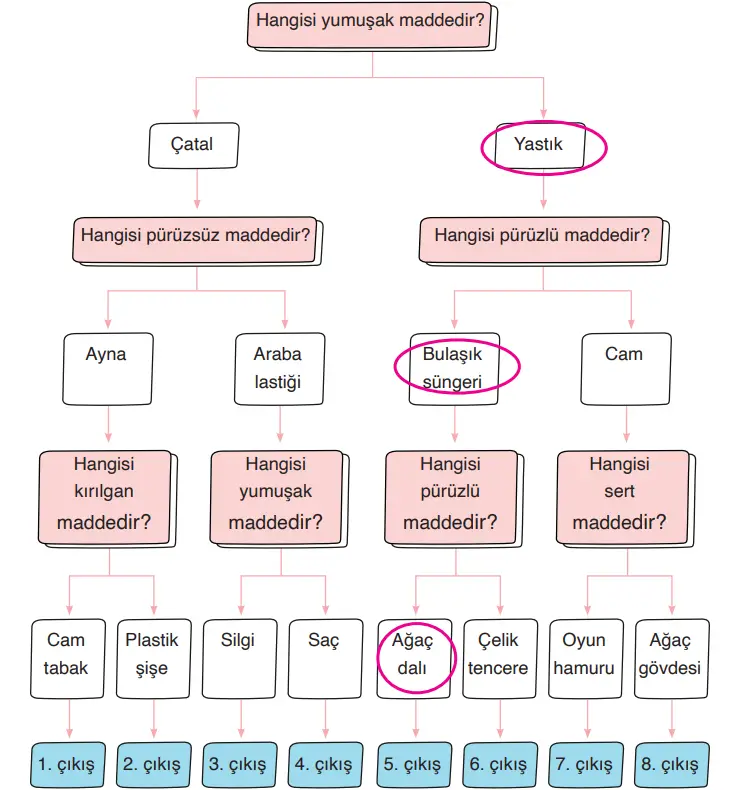 3. Sınıf Fen Bilimleri Ders Kitabı Sayfa 135 Cevapları CEM Yayıncılık