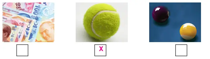 3. Sınıf Fen Bilimleri Ders Kitabı Sayfa 136 Cevapları CEM Yayıncılık