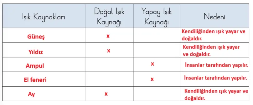 3. Sınıf Fen Bilimleri Ders Kitabı Sayfa 151 Cevapları CEM Yayıncılık