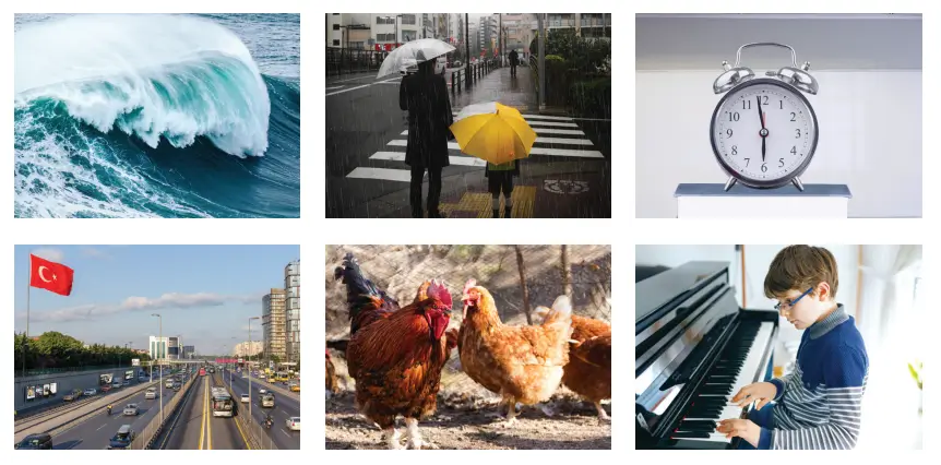 3. Sınıf Fen Bilimleri Ders Kitabı Sayfa 154 Cevapları CEM Yayıncılık