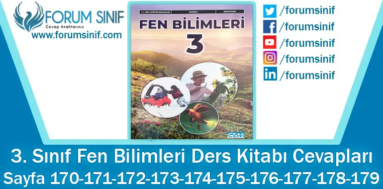 3. Sınıf Fen Bilimleri Ders Kitabı Sayfa 170-171-172-173-174-175-176-177-178-179. Cevapları CEM Yayıncılık