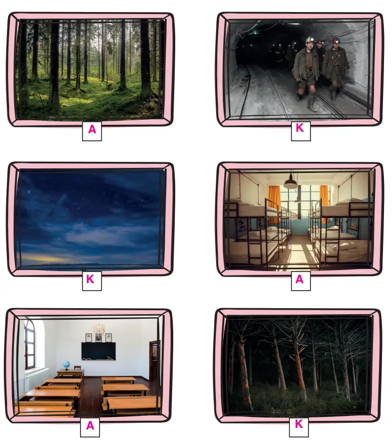 3. Sınıf Fen Bilimleri Ders Kitabı Sayfa 172 Cevapları CEM Yayıncılık