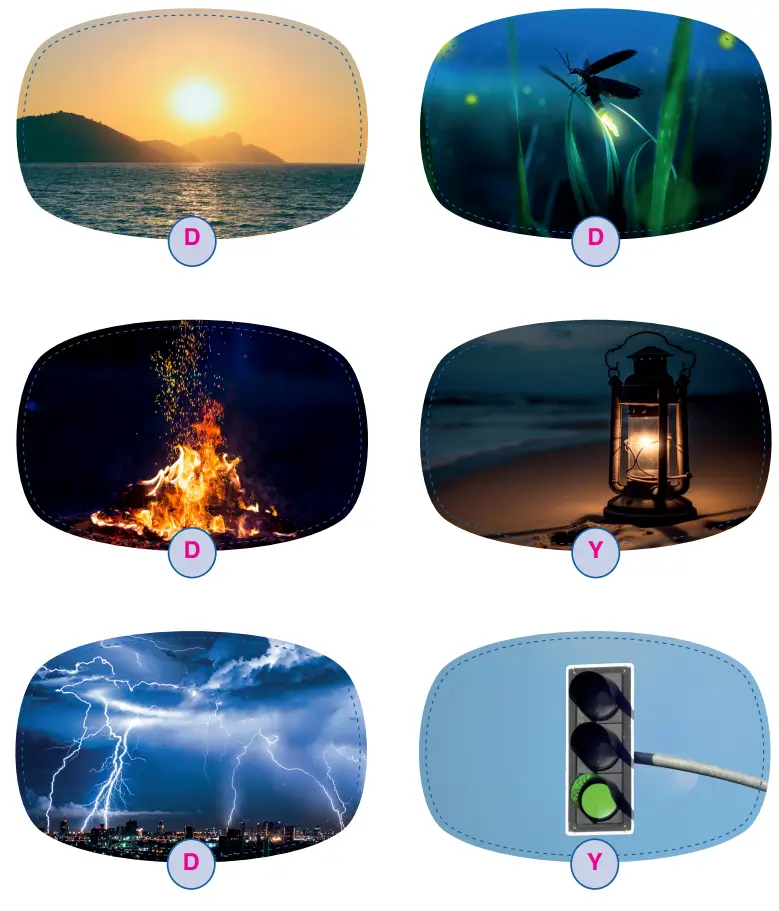 3. Sınıf Fen Bilimleri Ders Kitabı Sayfa 173 Cevapları CEM Yayıncılık