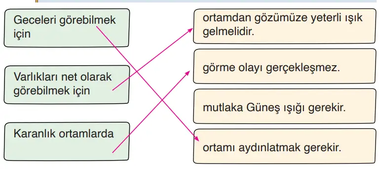 3. Sınıf Fen Bilimleri Ders Kitabı Sayfa 174 Cevapları CEM Yayıncılık