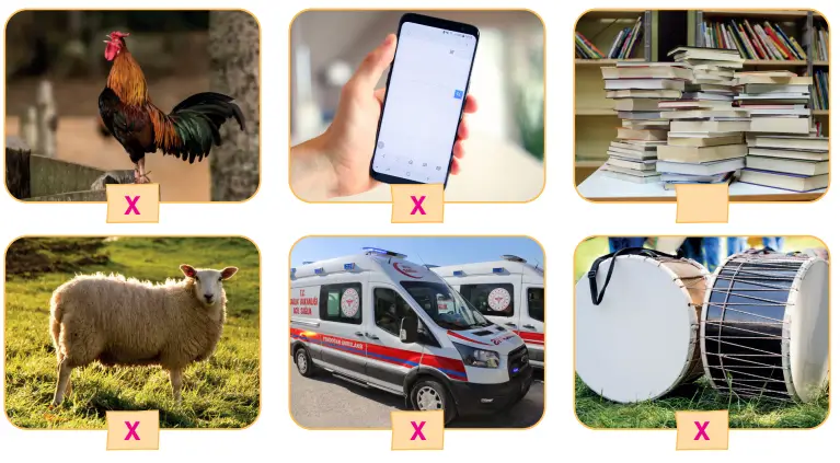 3. Sınıf Fen Bilimleri Ders Kitabı Sayfa 174 Cevapları CEM Yayıncılık1