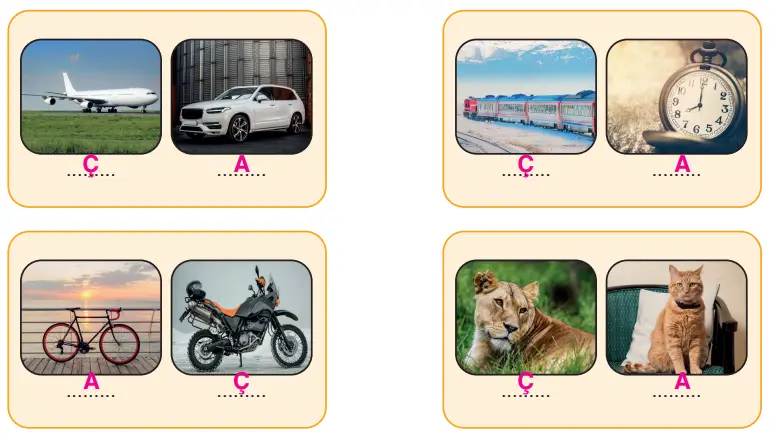3. Sınıf Fen Bilimleri Ders Kitabı Sayfa 175 Cevapları CEM Yayıncılık
