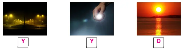 3. Sınıf Fen Bilimleri Ders Kitabı Sayfa 176 Cevapları CEM Yayıncılık