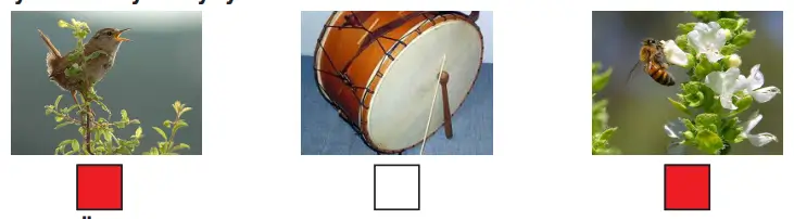 3. Sınıf Fen Bilimleri Ders Kitabı Sayfa 176 Cevapları CEM Yayıncılık1