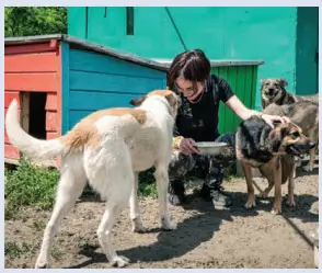 4. Sınıf Matematik Ders Kitabı 61-62-63-64-65-66-67-68. Sayfa Cevapları Fersa Yayıncılık 4. Sınıf Matematik Ders Kitabı Sayfa 61 Cevapları Fersa Yayıncılık