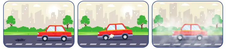 4. Sınıf Trafik Güvenliği Ders Kitabı Sayfa 43 Cevapları MEB Yayınları