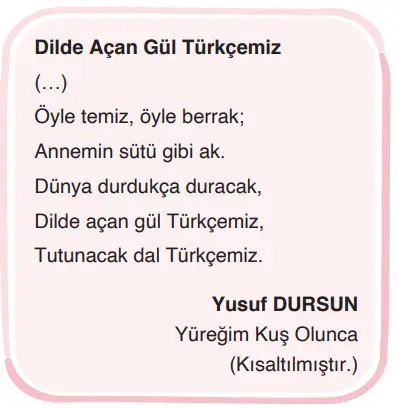 4. Sınıf Türkçe Ders Kitabı Sayfa 119 Cevapları ADA Yayıncılık