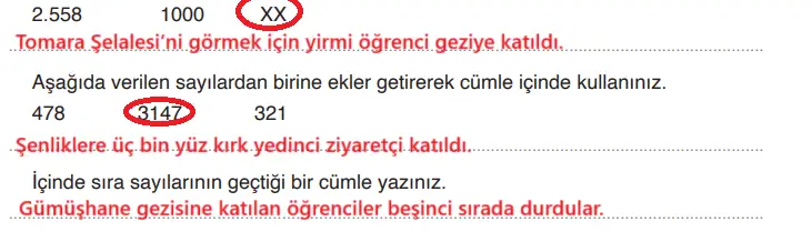 4. Sınıf Türkçe Ders Kitabı Sayfa 127 Cevapları ADA Yayıncılık