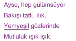 4. Sınıf Türkçe Ders Kitabı Sayfa 132 Cevapları ADA Yayıncılık