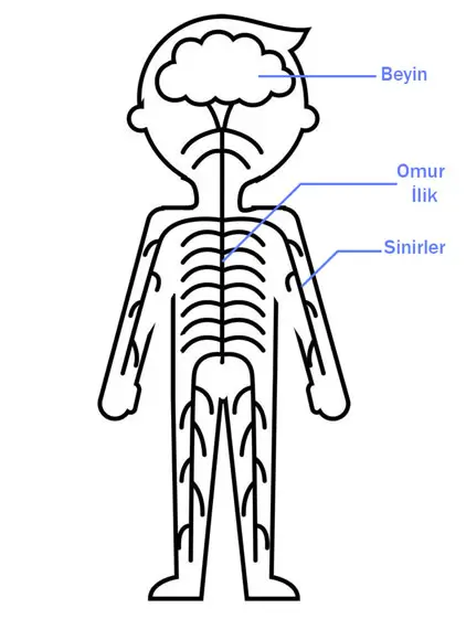 6. Sınıf Fen Bilimleri Ders Kitabı 109-110-111-112-113. Sayfa Cevapları 1. KİTAP 6. Sınıf Fen Bilimleri Ders Kitabı Sayfa 111 Cevapları MEB Yayınları
