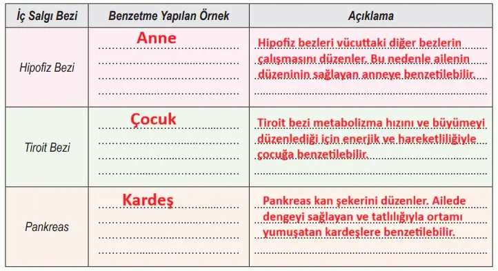 6. Sınıf Fen Bilimleri Ders Kitabı 114-116-117-118. Sayfa Cevapları 1. KİTAP 6. Sınıf Fen Bilimleri Ders Kitabı Sayfa 117 Cevapları MEB Yayınları1
