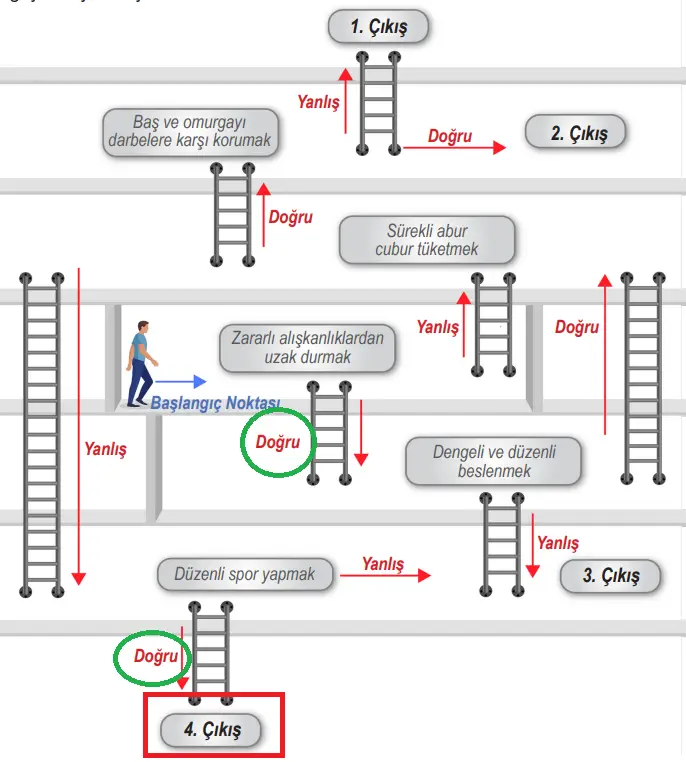 6. Sınıf Fen Bilimleri Ders Kitabı Sayfa 126 Cevapları MEB Yayınları