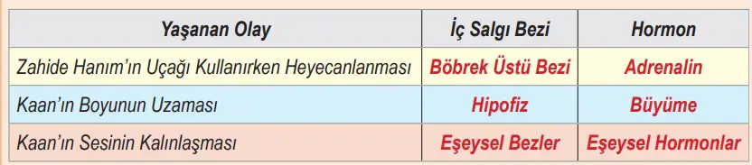 6. Sınıf Fen Bilimleri Ders Kitabı Sayfa 127 Cevapları MEB Yayınları1