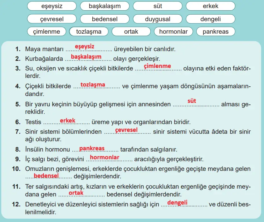 6. Sınıf Fen Bilimleri Ders Kitabı 129-130-131. Sayfa Cevapları 1. KİTAP 6. Sınıf Fen Bilimleri Ders Kitabı Sayfa 129 Cevapları MEB Yayınları