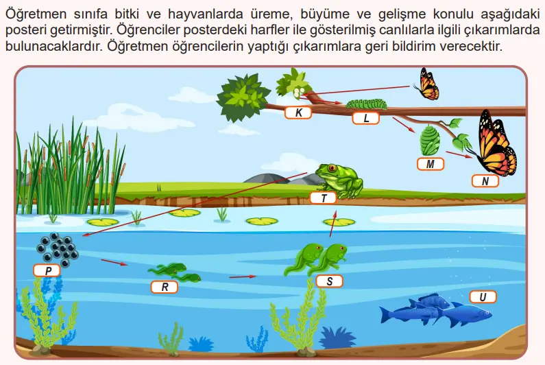 6. Sınıf Fen Bilimleri Ders Kitabı 129-130-131. Sayfa Cevapları 1. KİTAP 6. Sınıf Fen Bilimleri Ders Kitabı Sayfa 131 Cevapları MEB Yayınları